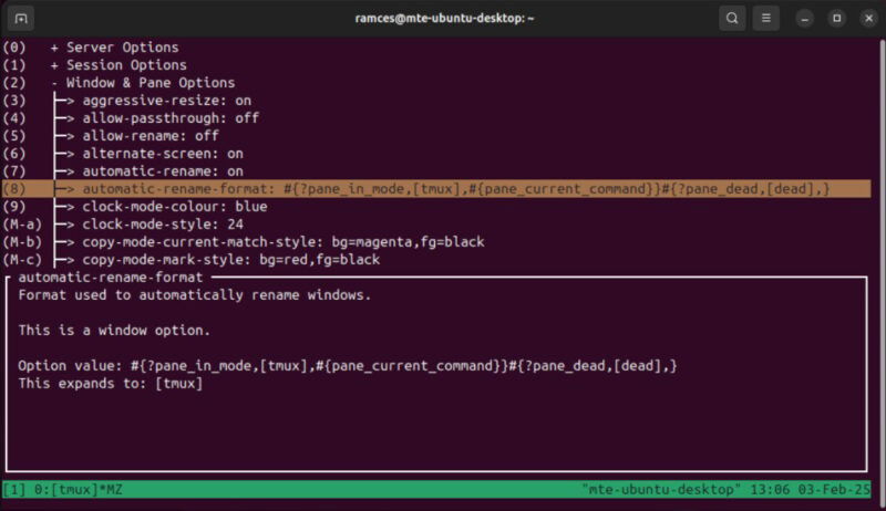 A terminal showing the custom "on-the-fly" config menu for tmux-menus.
