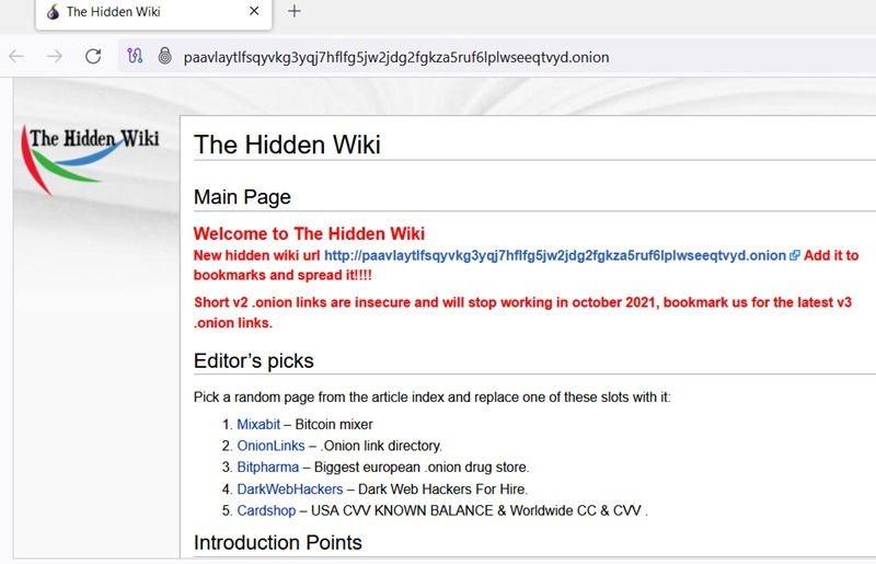 HiddenWiki, an encyclopedia of various deep and dark web websites. 