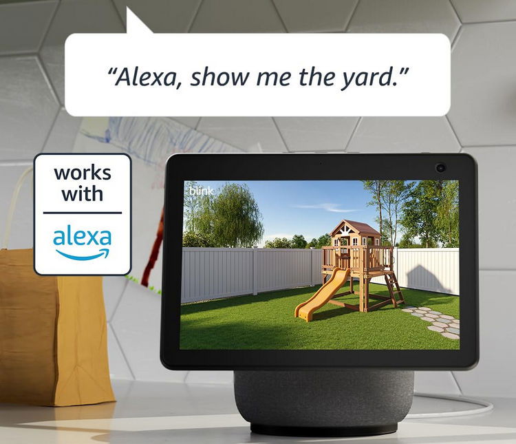 Blink Outdoor With Alexa