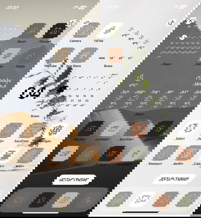 Individual themes view in Brass app on iPhone.