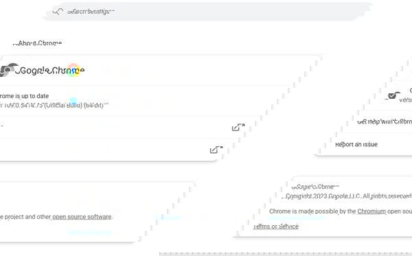 Checking if Chrome browser has any updates available.