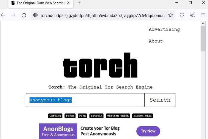 Deep Web Search Engines Torch Search