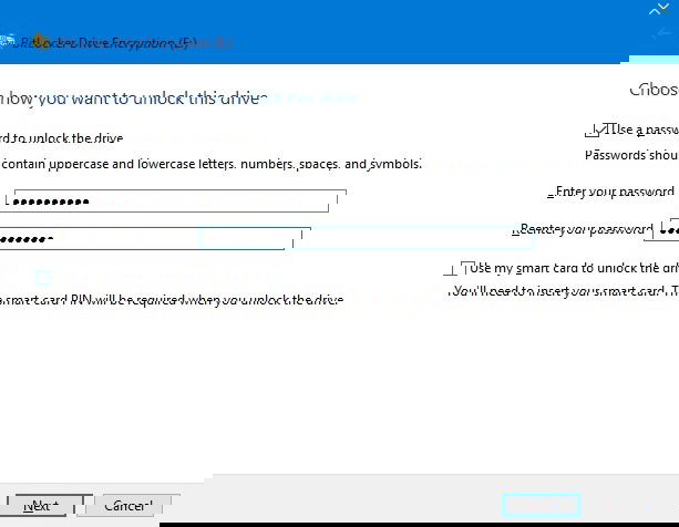 Type a password in BitLocker Drive Encyption to unlock the drive. 