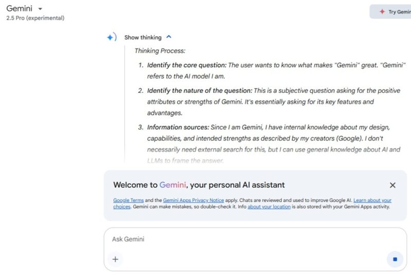 Google Gemini 2.5 showing its thinking process.