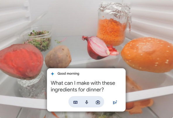 Google Pixel 9 Pro Ai Assistant