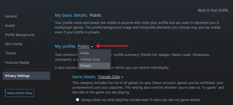 Switching profile from Public to Private in Steam client for desktop.