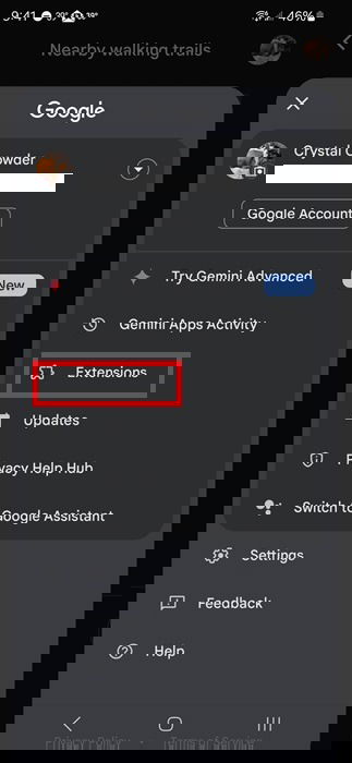 Viewing Google Gemini settings.