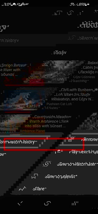 Removing a video from YouTube watch history.