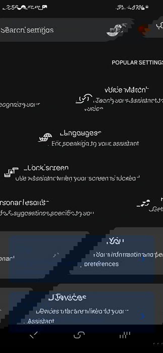 Viewing settings within Google Assistant app.