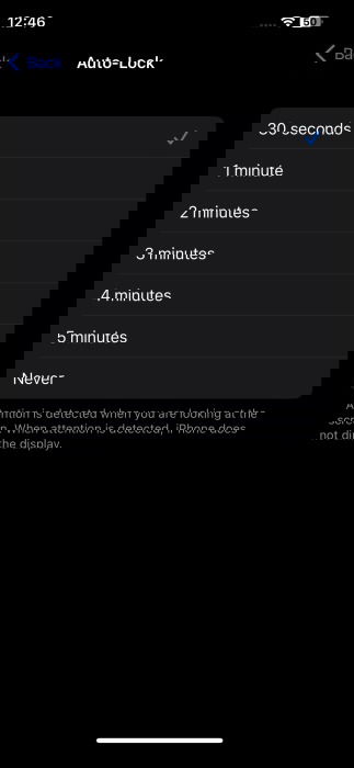 Setting different auto-lock time on iPhone.