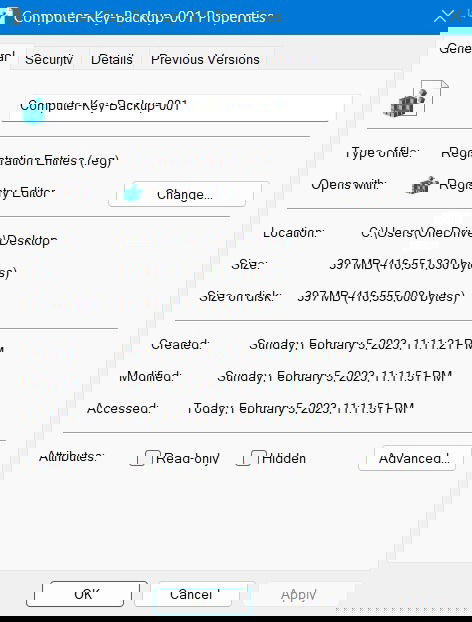 Entire Computer key backup saved to the desktop folder. Its size and details.