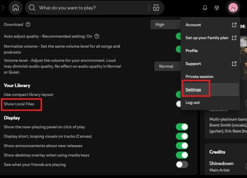 Showing local files on desktop app.