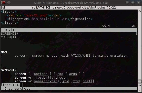 Vim plugins: Screen