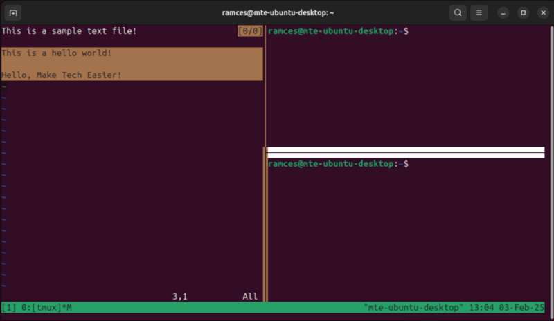 A terminal showing a multi-pane Tmux setup with a marked pane and a pane in copy mode.