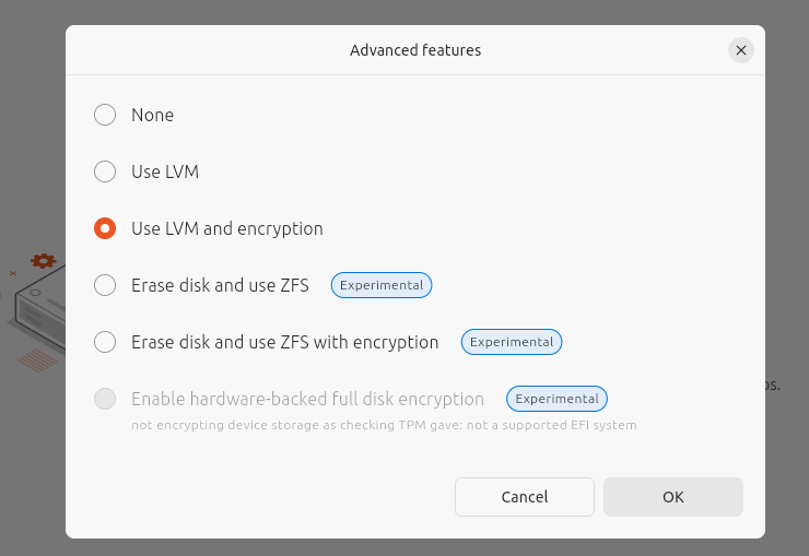 Choosing LVM and encryption options.