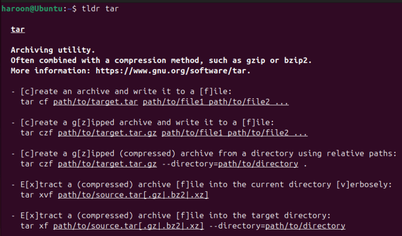 Displaying Tar Documentation With Tldr command line tool in Linux terminal.