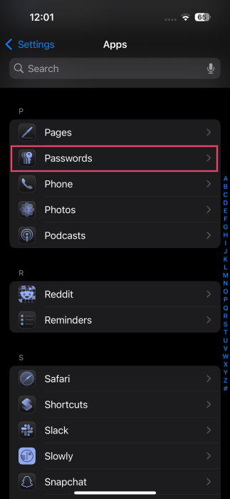 Navigating to Passwords in iPhone Settings. 