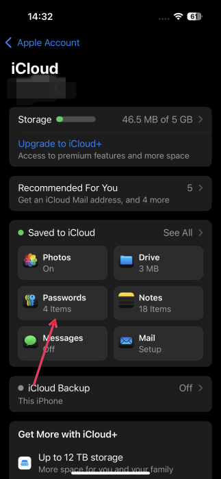 Selecting "Password" option in iCloud settings on iPhone. 