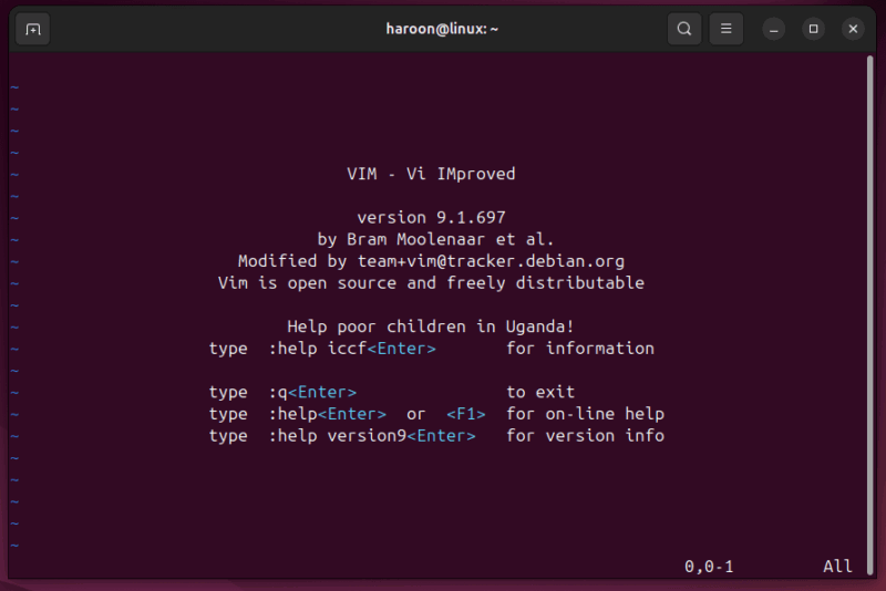 Launching Vim From The Ubuntu Terminal.