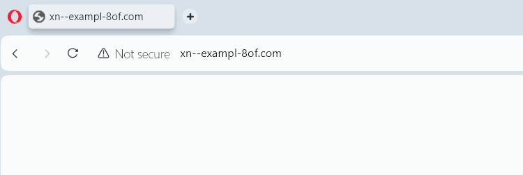 punycode showing for a domain