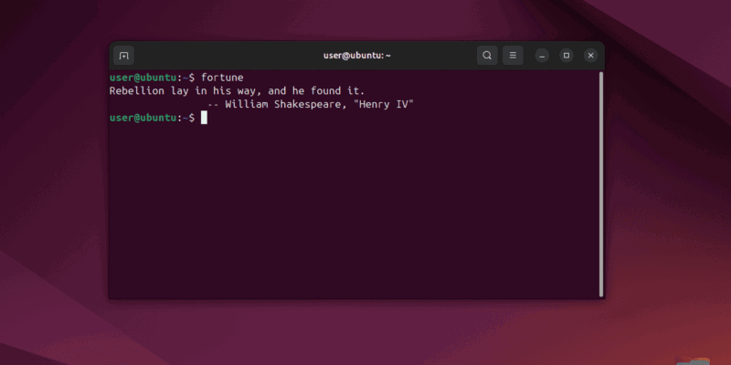 The Linux Terminal.