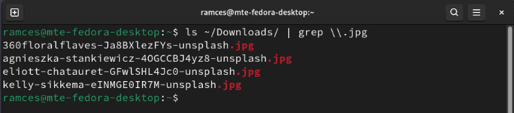 A terminal showing Grep filtering file lists based on file extension.