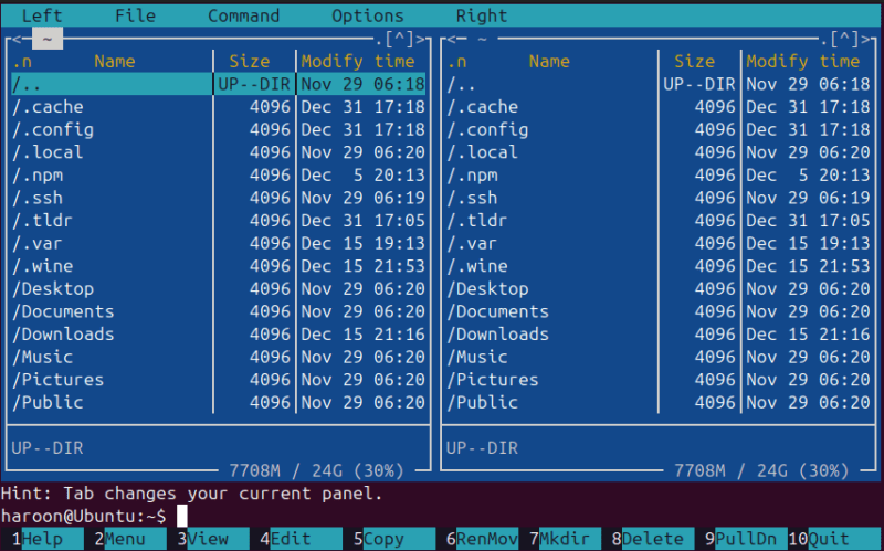 Viewing Files On Mc File Manager on Linux.