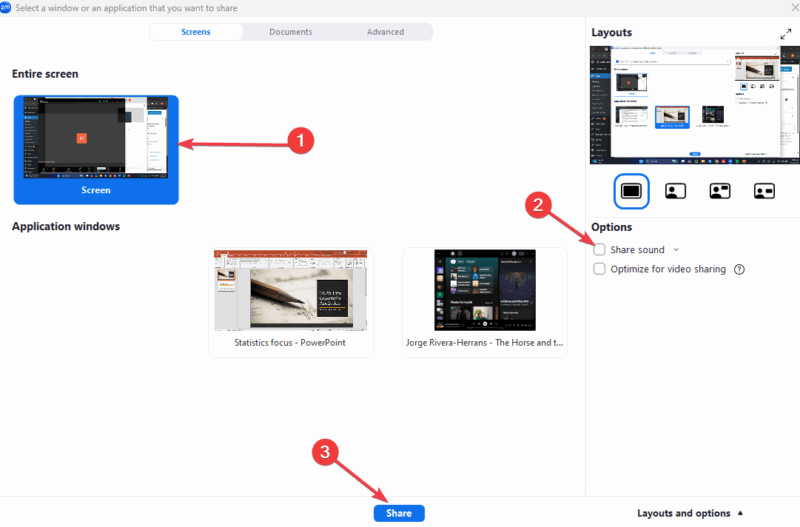 Zoom Share Entire Screen
